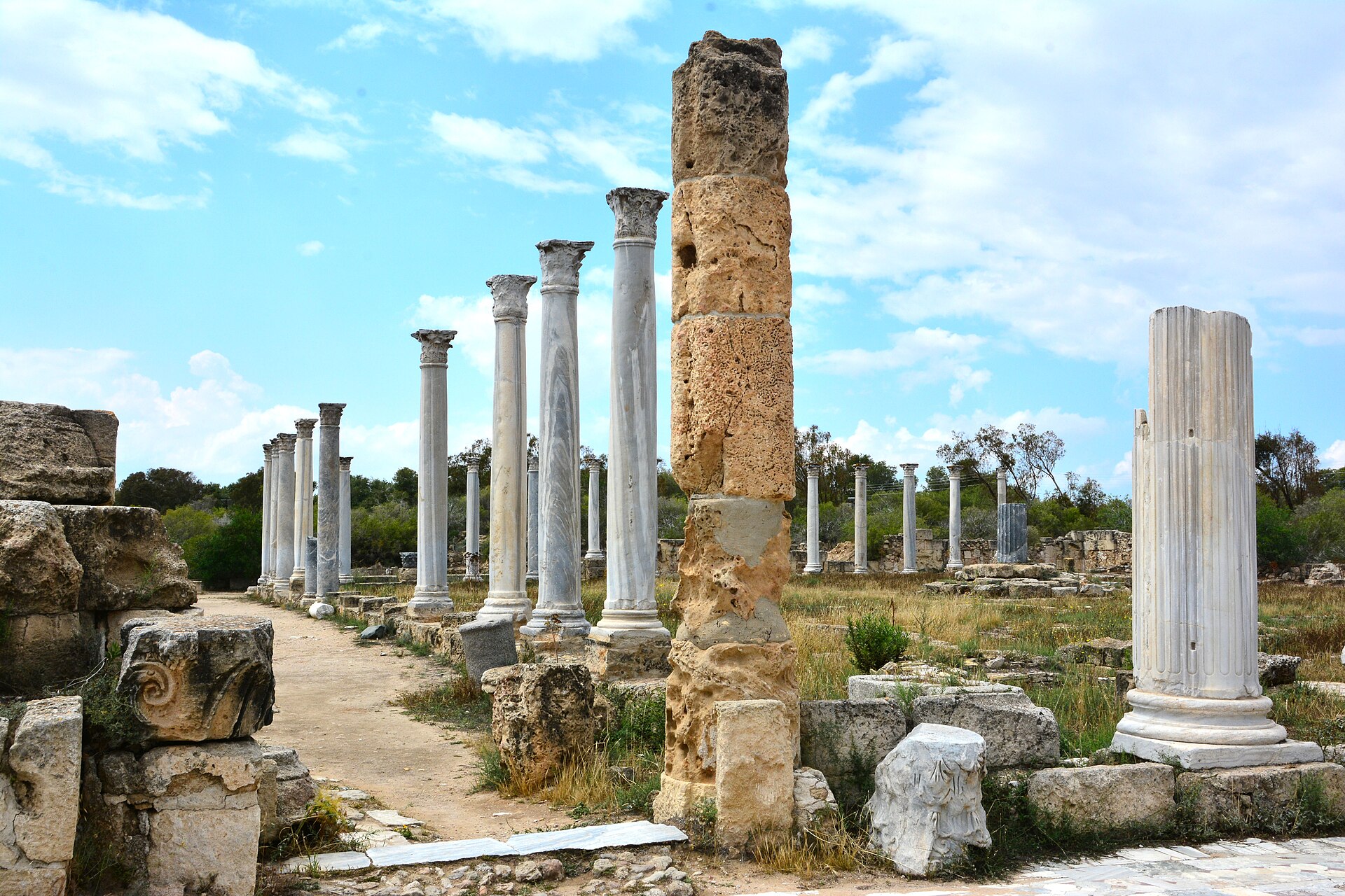 Ancient columns and ruins at Salamis in Cyprus